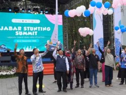 Jabar Stunting Summit, Roadmap Menuju Jabar Zero Stunting 2023