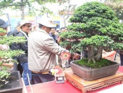 Festival Bonsai Rubi, Bupati Marwan -karya Seni Yang Prospektif-