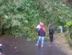 Akses Alternatif Cigombong-Cijeruk Tertutup Lonsoran, Polsek Cijeruk Lakukan Pengalihan Lalin