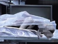 Mantri Bunuh Kepala Desa Pakai Jarum Suntik –