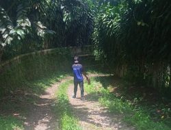 15 Tahun, Jalan Tembus Cimenteng Karadenan Desa Cimahi,  Tak Alami Perbaikan, Dikeluhkan Warga