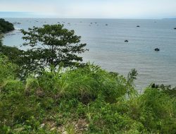 DPRD Angkat Suara Soal Kebakaran Puncak Darma Geopark Ciletuh Sukabumi