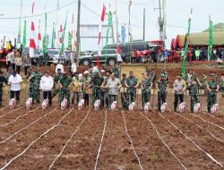 KSAD Tinjau Ketahanan Pangan Kostrad di Ciemas, Wabup ” Triger Perekonomian Masyarakat”