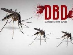 Gawat,” DBD Hantui Palabuhanratu, Tiga Bulan Ini,  44 Pasien di RSUD