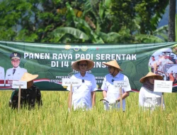 Wali Kota Sukabumi Hadiri Panen Raya Nasional Secara Daring, Presiden Prabowo Hadir Langsung di Majalengka