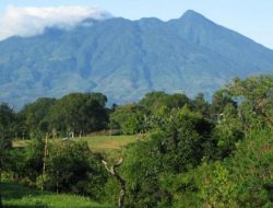 Sedikit Fakta Ulasan Mengenai Sejarah Gunung Salak Bogor.
