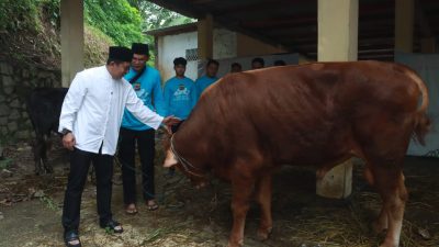 Polres Sukabumi di Hari Raya Idul Adha 1446 H, Kurban 22 Ekor Hewan, Distribusikan 1. 809 Paket Daging Kepada Masyarakat Sekitar.