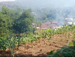 Tingkatkan Kesejahteraan Masyarakat, Pemdes Pasir Jaya Cigombong Luncurkan Program PKT.