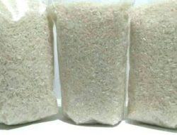 Dosen IPB Ungkap Ciri Beras Asli dan Oplosan, Ini 5 Langkah Cara Membedakannya.