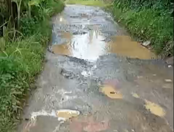 Warga Ciambar, Kabupaten Sukabumi, Minta Jalan Rusak Segera di Perbaiki.