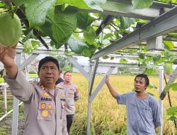 Greenhouse Hidroponik di Loji Simpenan Suplai Sayuran Program MBG Polres Sukabumi