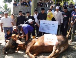 Laznas Bakrie Amanah, Salurkan Daging Sapi Kurban Kepada Masyarakat, Bupati Sukabumi Ucapkan Terimakasih.
