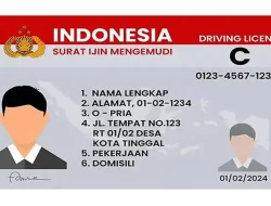 Ini Dia, Tarif Resmi Berikut Syarat Untuk Perpanjang SIM C dan A Pada Mei 2026.