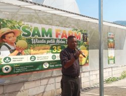 Kecamatan Cisolok Semakin Mencolok Dengan Destinasi Baru Wisata Petik Melon Premium SAM FARM.