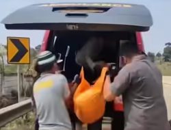 Polisi Evakuasi Mayat Tanpa Identitas, Bawah Jembatan Tol Bocimi.