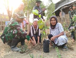 Perkuat Ketahanan Pangan, Satgas TMMD ke-130 Tanam Sayuran Bagi Bibit ke Warga